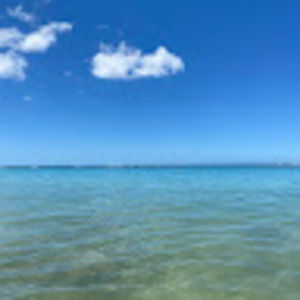 Meet your Posher, Bailey